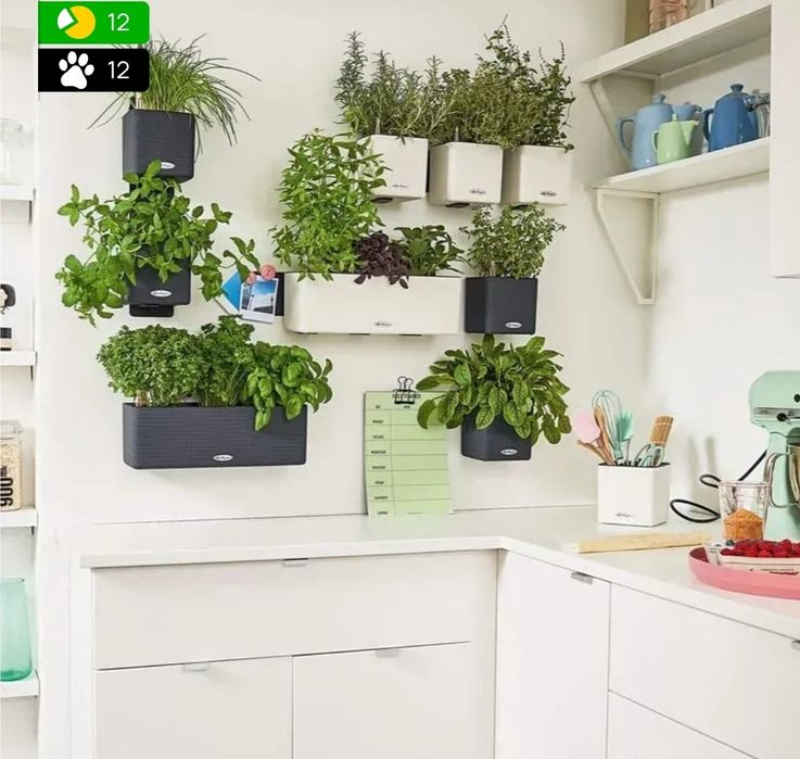 Lechuza вазони з автополивом тріо в різних кольорах 14 розмір