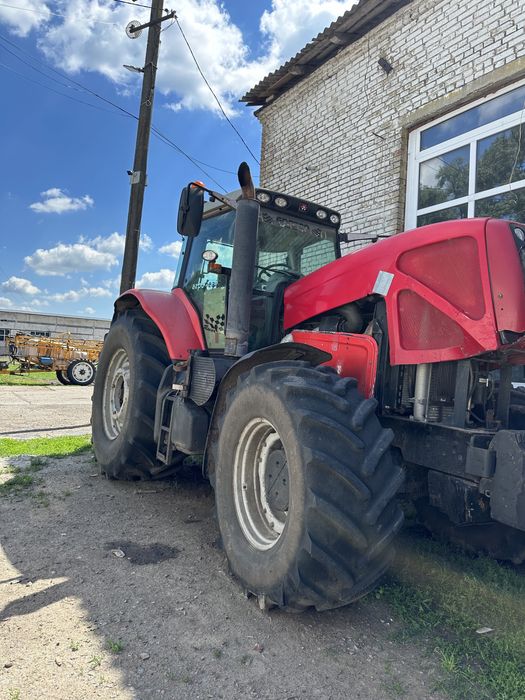 Трактор Massey Ferguson MF8480