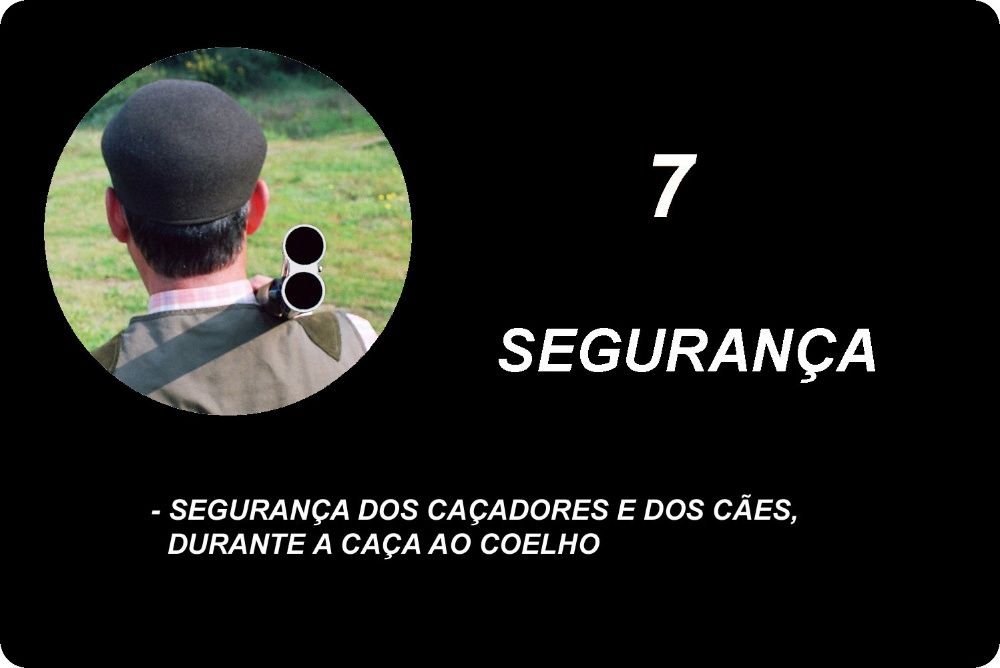 Livro A Caça ao Coelho