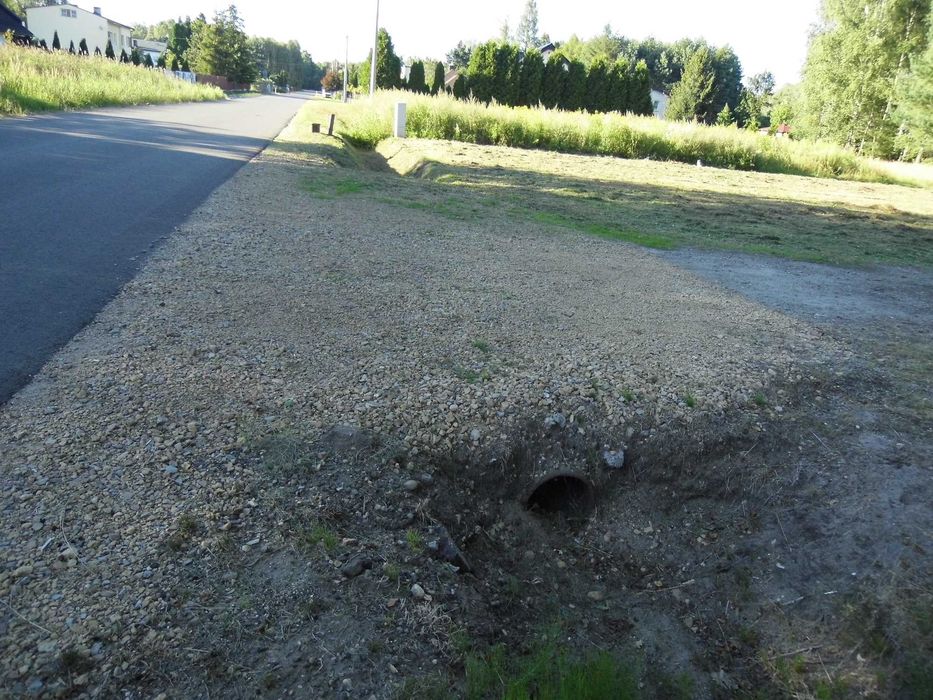 Zdjęcie 3