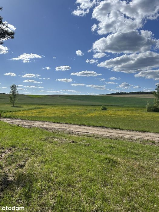 Sprzedam działki Zalesie gmina Cekcyn powiat tucholski