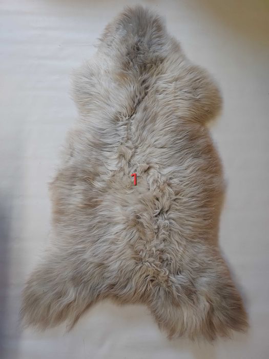 Prawdziwa Skóra Owcza XXXL GIGANT Kolory Unikat Skóry Owcze