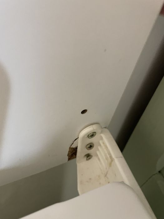 Cómoda Banheira Sleepy Bear TRAMA