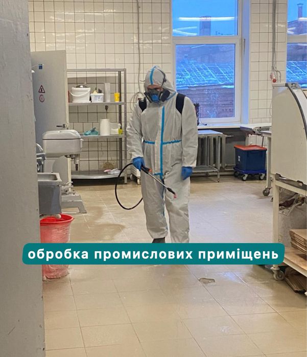 Травля тарганів клопів блох шершнів щурів мишей. Уничтожение тараканов клопов блох крыс мышей . Вытравить тараканов. Удаление плесени