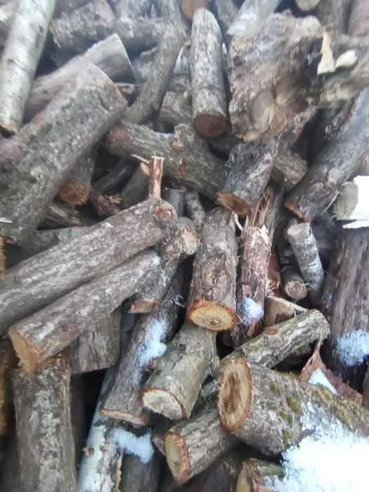 drewno opałowe kominkowe