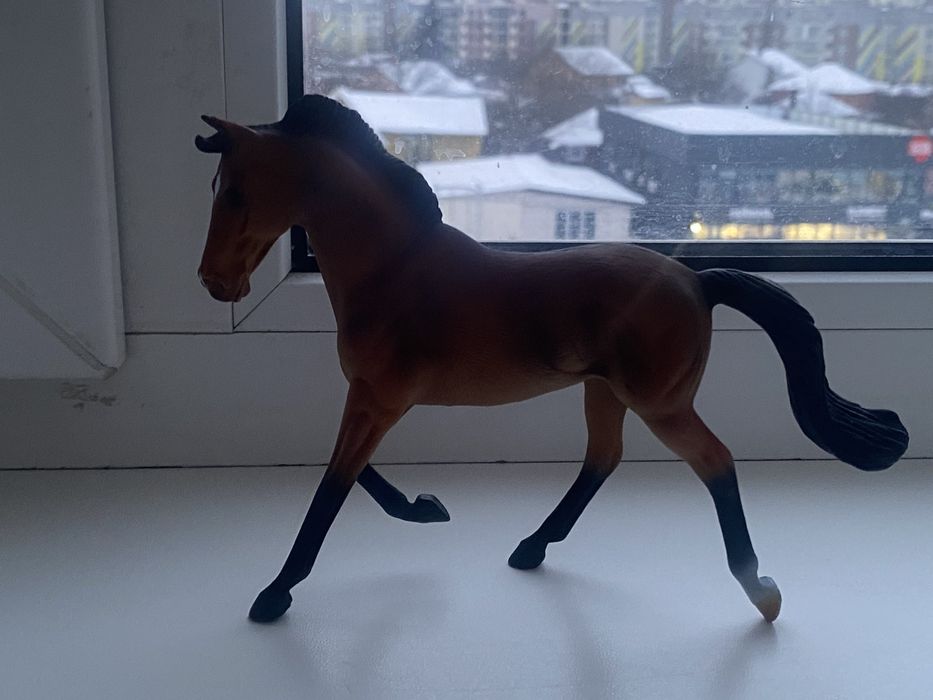 Коні collecta, еолекта