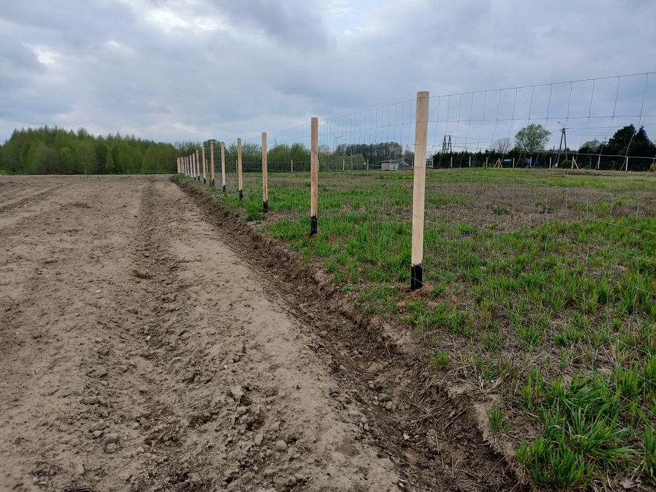 Ogrodzenie Tymczasowe Ogrodzenie Leśne Ogrodzenie Budowlane