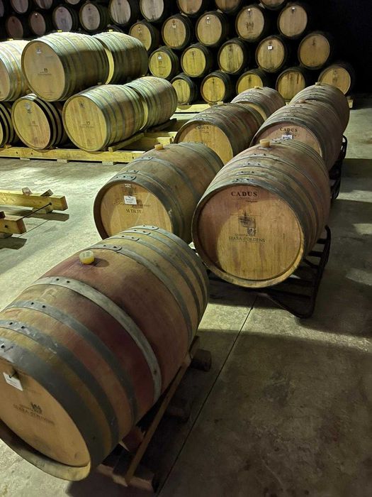 Port Casks/Barris de Vinho Porto/Pipos de vinho do Porto