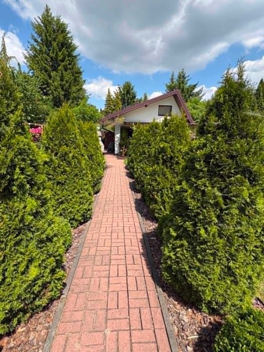 Działka 400 m², R.O.D. „Nad Jeziorką”, Wólka Kozodawska - Więcej