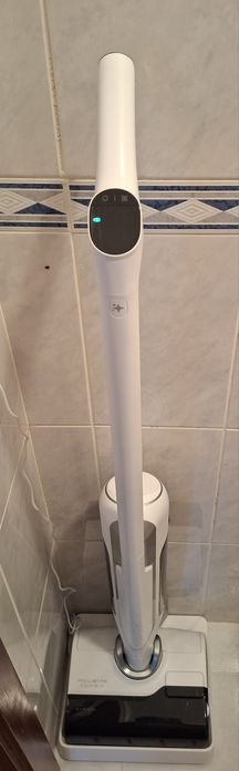 Rowenta XClean 10