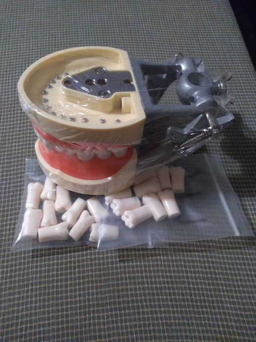 Frasaco estudo Medicina Dentária e outros - novos