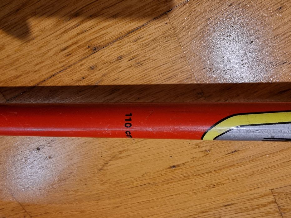 Палкі гірськолижні Lekі World Cup Lite з захистом