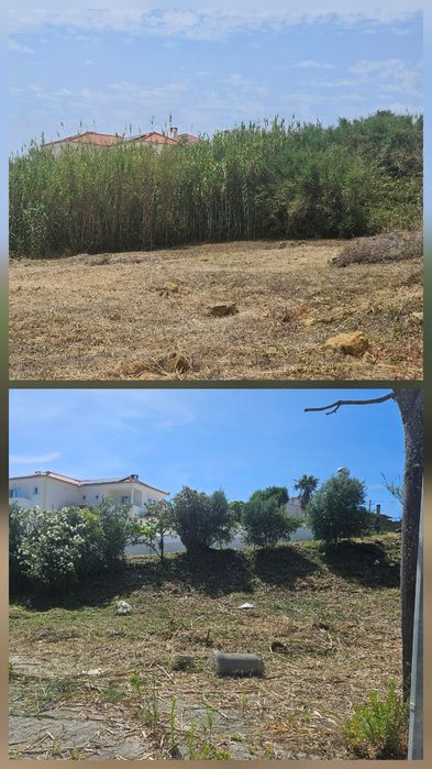 Limpeza de terreno e jardim