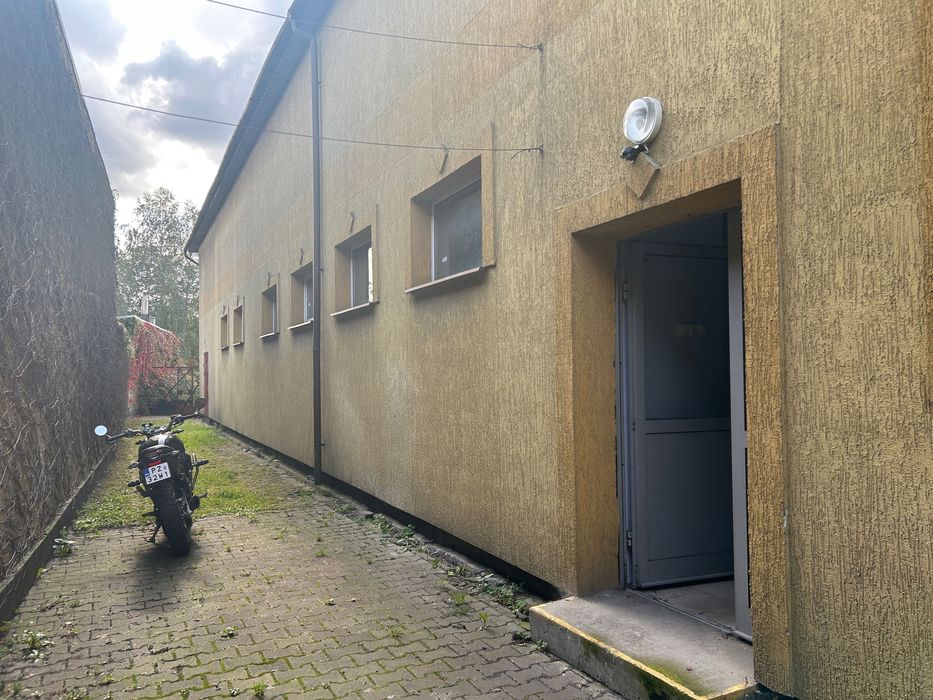 lokal do wynajęcia