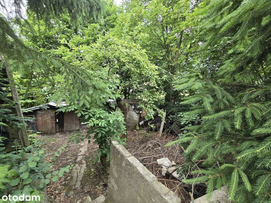 2 pokoje- ogródek - do remontu