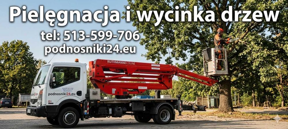 Profesjonalna wycinka i pielęgnacja drzew