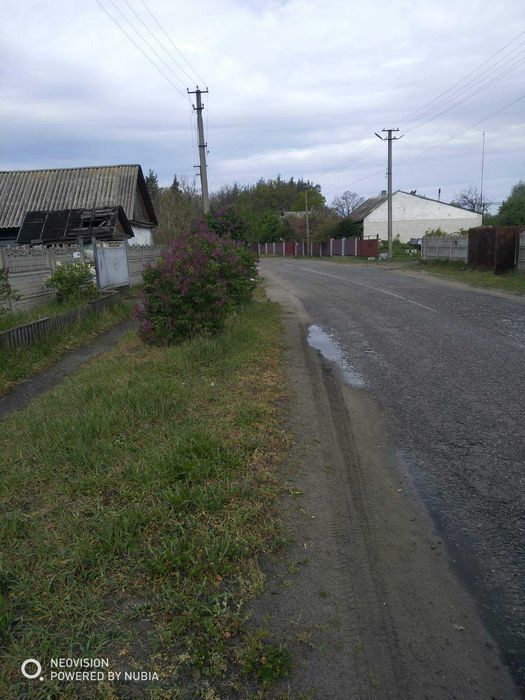 Продам участок 20 соток.с.Н Буда.Бучанского р-на.