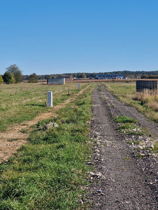 Działki budowlane w msc. Kolonia Zamek obok Janowa Lubelskiego - Widok 5