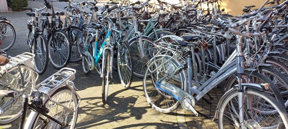 Rower Gazelle Batavus Giant