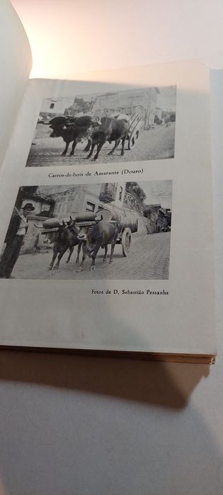 Os Transportes Populares em Portugal, Carros e Barcos - Luis Chaves
