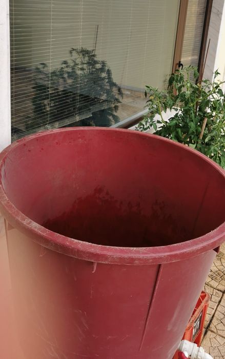 Recipiente para uvas com torneira