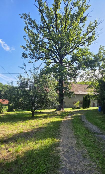 Bez pośredników!! Wydzielona 1/2 domu z budynkiem gospodarczym 199m² i działkami – Chwaliszów