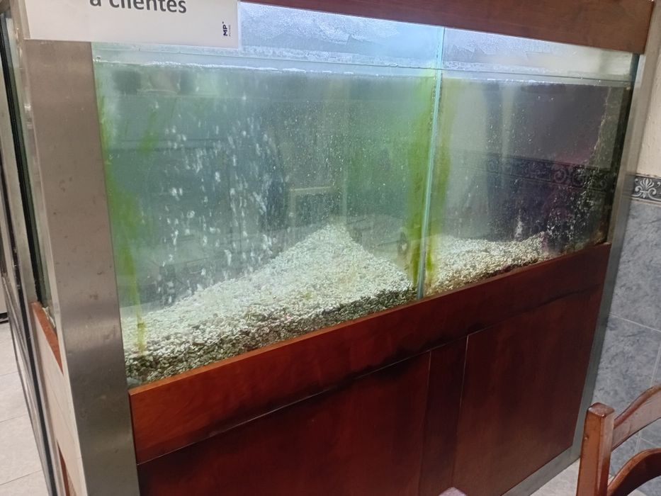 Troco aquario de marisco