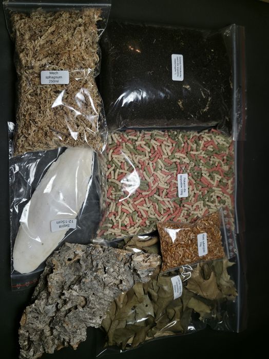 Duży Starter pack do hodowli isopodów