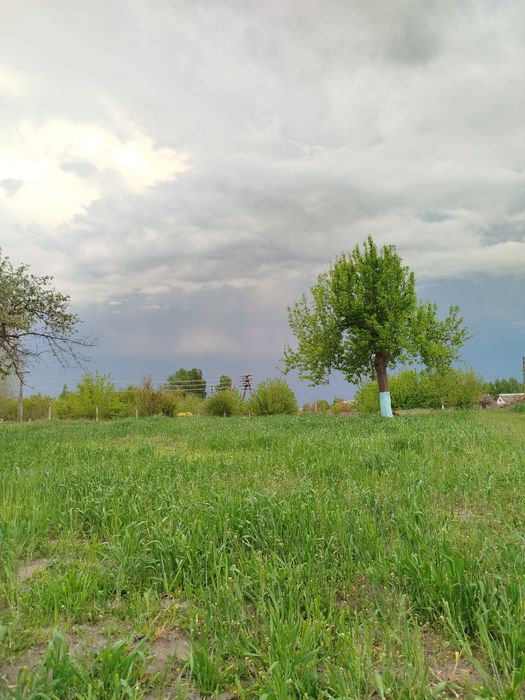 Земельна ділянка