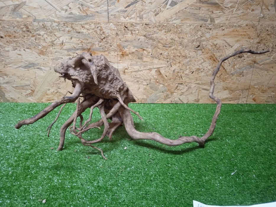 Korzeń do akwarium Red Moore Wood nr 405 o wymiarach 53/20/23