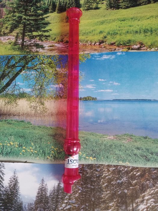 Flet Disney Frost kraina lodu