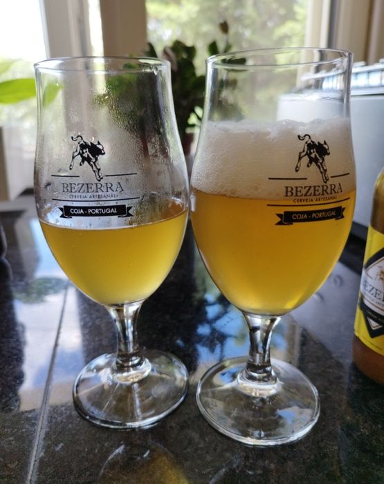 Copo de cerveja artesanal tulipa