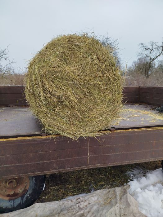 Продам сіно солому в тюках.