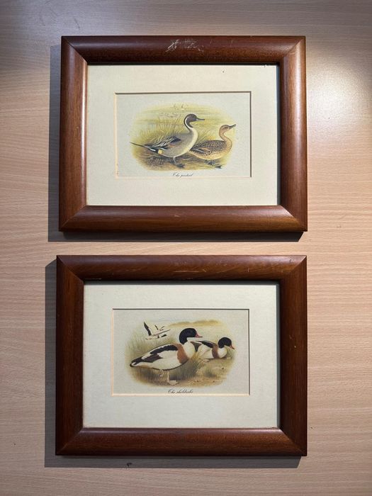 Quadros Vintage c/patos