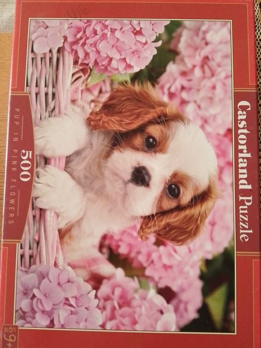 Puzzle castorland 500 elementów