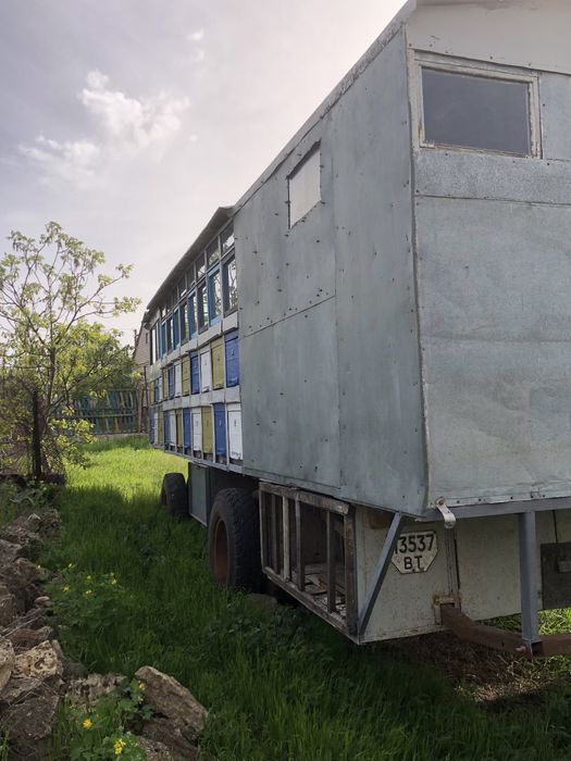 Бджолопавільйон з документами