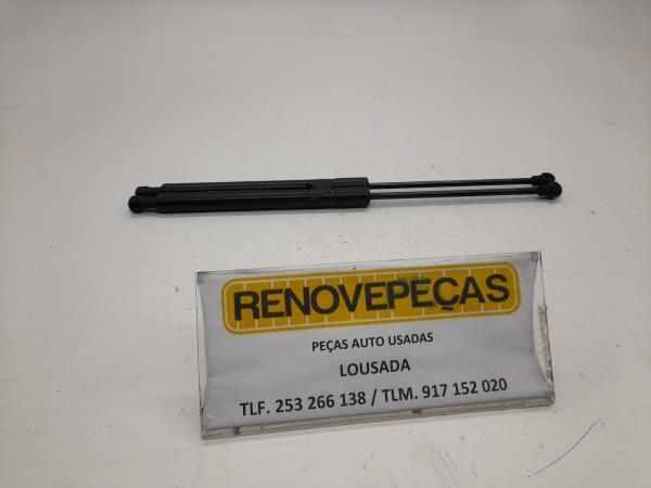 Amortecedor da mala CITROËN C3 II (SC_)