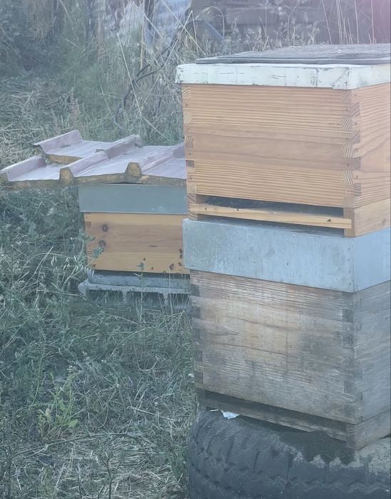 Colmeias usadas e semi novas