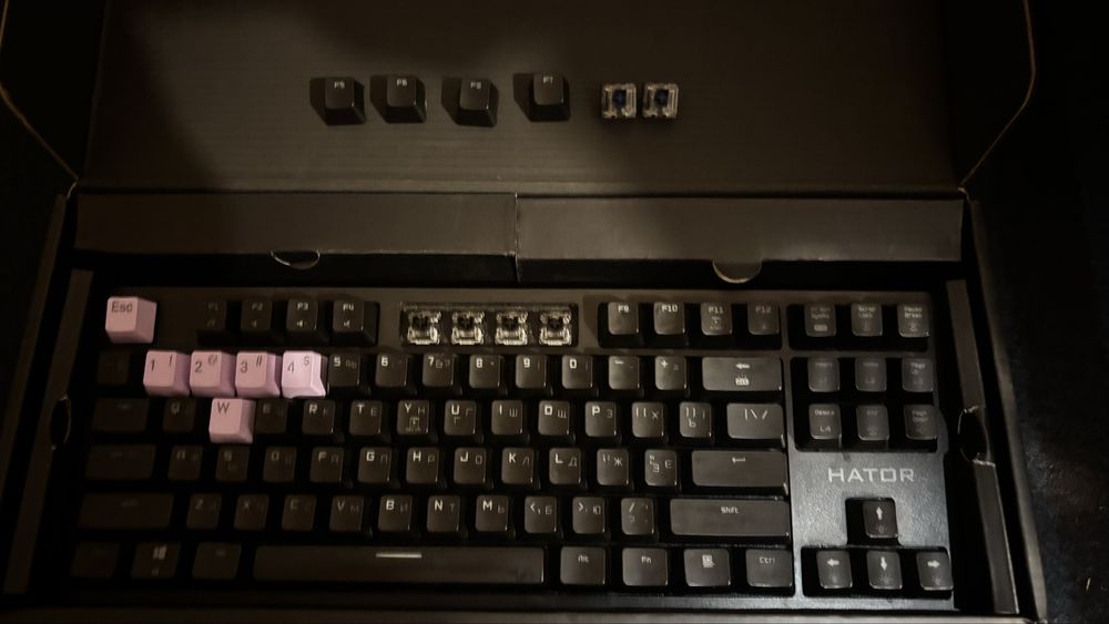 Механічна клавіатура Hator Rockfall evo tkl 80%