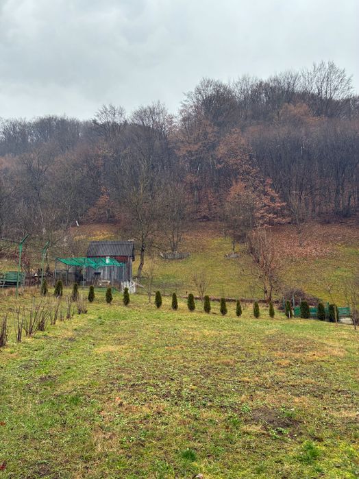 Продається затишний будинок у с. Нересниця, Тячівський район