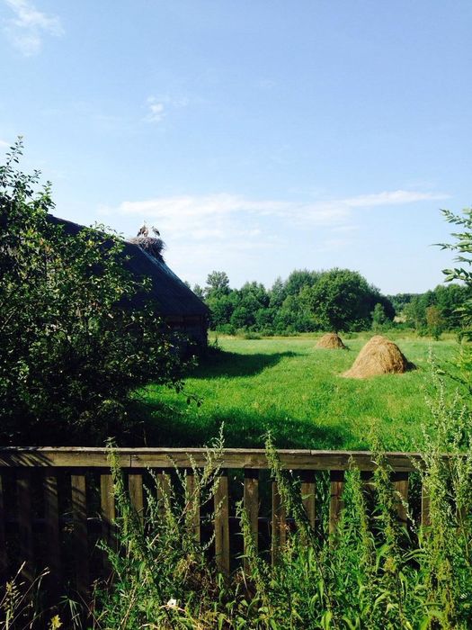 Земельна ділянка під забудову. с. Вихля, Житомир. обл.,Приватизована