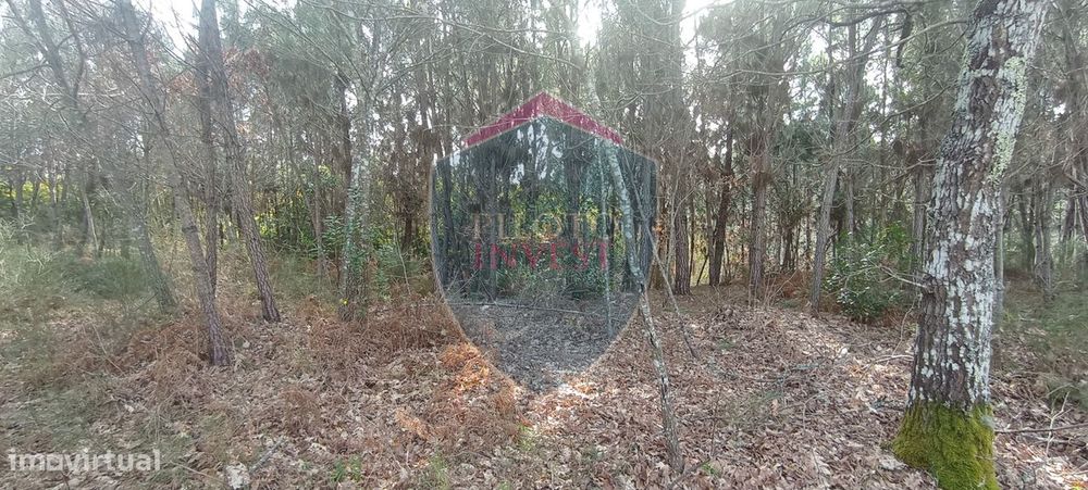 Quinta  Venda em Silgueiros,Viseu