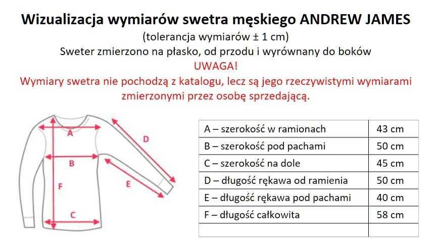 Sweter (pulower) męski ANDREW JAMES