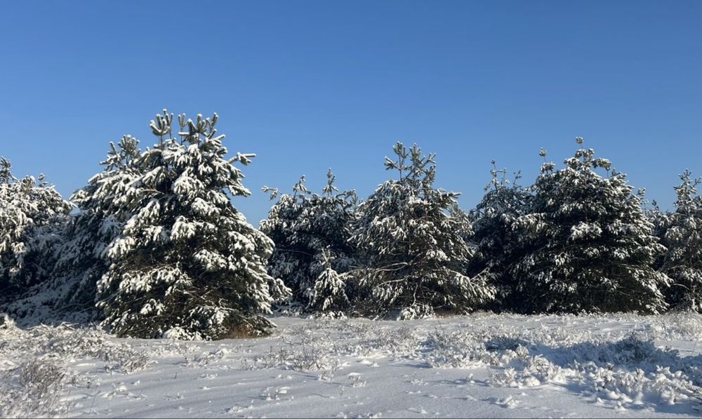 Земельна ділянка 3,6 Га! Колонщина!