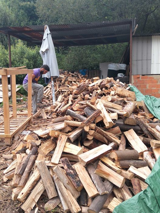 Vendo lenha seca eucalipto