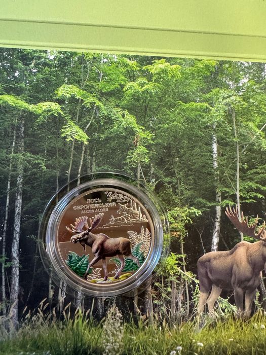 Чорнобиль. Відродження. Лось європейський