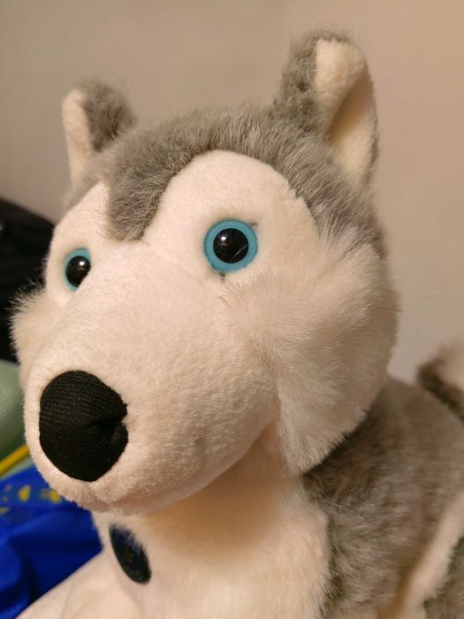 Peluche Husky, da Althans Club, 35 cm