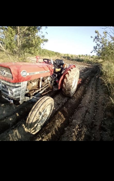 Massey ferguson 135