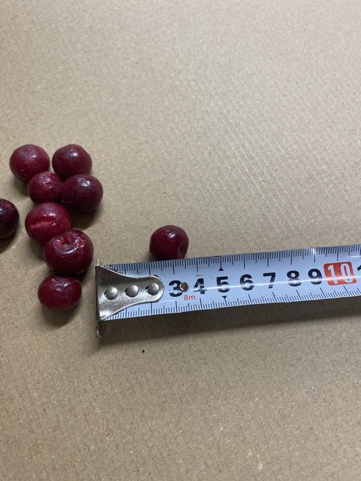 Продам вишню з кісточкою миту.