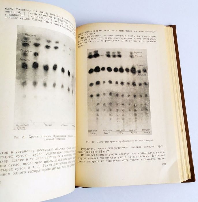 ПИВА Брожение непрерывное брожение в пивоварении пивное дело пивная